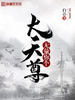 《无量你个大天尊》小说封面