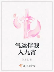 《气运伴我入九宵》小说封面