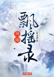 《风雨飘摇录》小说封面