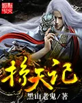 《掠天记》小说封面