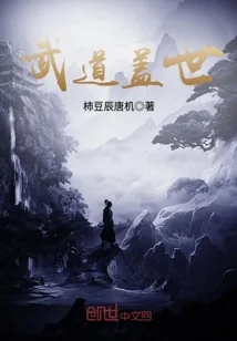 《武道盖世》小说封面