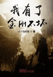 《我有了金刚不坏》小说封面