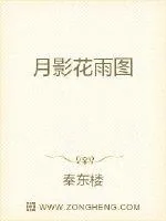 《月影花雨图》小说封面