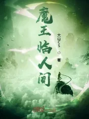 《魔王临人间》小说封面