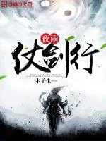 《夜雨仗剑行》小说封面