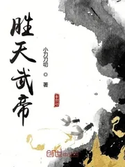 《胜天武帝》小说封面