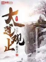 《大道观止》小说封面