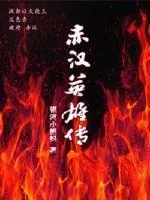 《赤汉英雄传》小说封面