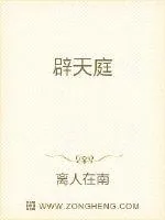《辟天庭》小说封面