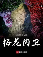 《梅花内卫》小说封面