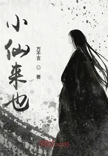 《小仙来也》小说封面