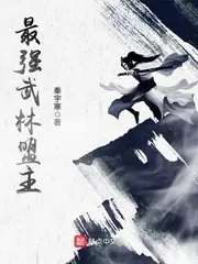 《最强武林盟主》小说封面