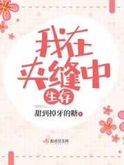 《我在夹缝中生存》小说封面
