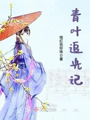 《青叶追光记》小说封面