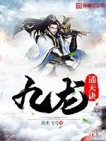 《九龙通天诀》小说封面