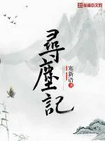 《寻尘记》小说封面