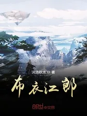 《布衣江郎》小说封面
