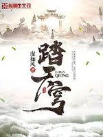 《踏天穹》小说封面