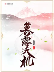 《暮露天机》小说封面