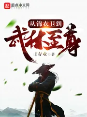《从锦衣卫到武林至尊》小说封面