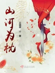 《山河为枕》小说封面