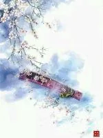 《星王争霸之御魂琴》小说封面