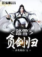 《踏雪负剑归》小说封面