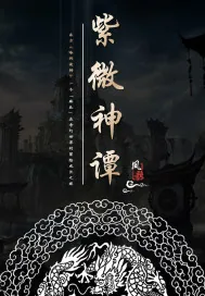 《紫微神谭》小说封面