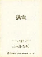 《擒雪》小说封面