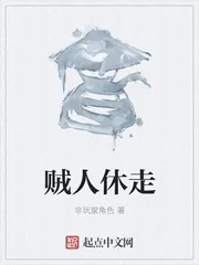《贼人休走》小说封面