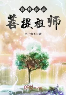 《我真的是菩提祖师》小说封面