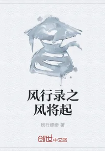 《风行录之风将起》小说封面