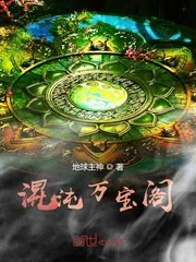 《魁宝之主》小说封面