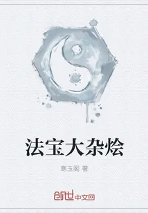 《法宝大杂烩》小说封面
