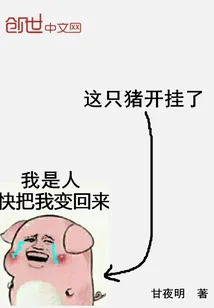 《这只猪开挂了》小说封面
