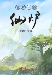 《我有一鼎仙炉》小说封面