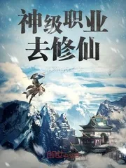 《神级职业去修仙》小说封面