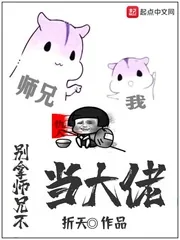 《别拿师兄不当大佬》小说封面