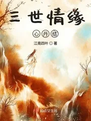 《三世情缘心丹结》小说封面