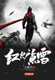 《红炉点雪》小说封面