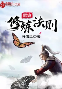 《意念修炼法则》小说封面