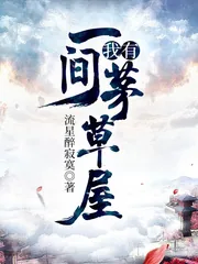 《我有一间茅草屋》小说封面