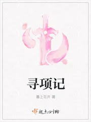 《寻项记》小说封面