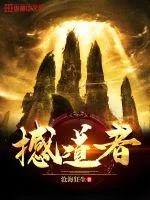 《撼道者》小说封面