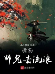 《我与师兄去流浪》小说封面
