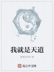 《我就是天道》小说封面