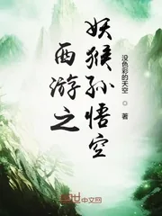 《西游之妖猴孙悟空》小说封面