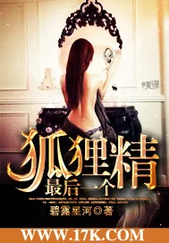 《最后一个狐狸精》小说封面