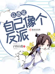 《总感觉自己像个反派》小说封面
