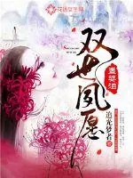 《孟婆泪：双世夙愿》小说封面